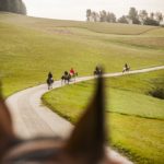 Reiturlaub im Mühlviertel