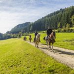 Reiturlaub im Mühlviertel