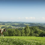Reiturlaub im Mühlviertel