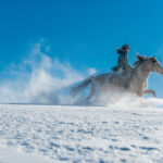 Winter-Reiturlaub im Mühlviertel