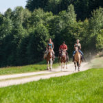 Reiturlaub im Mühlviertel