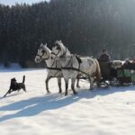 Winter-Reiturlaub im Mühlviertel